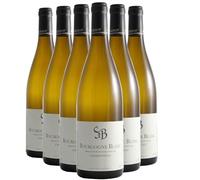 Bourgogne - Blanc 2022 - Domaine Bzikot - Vin Blanc de Bourgogne (6x75cl)