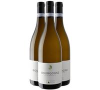 Bourgogne - Blanc 2022 - Dominique Lafon - Vin Blanc de Bourgogne (3x75 IO