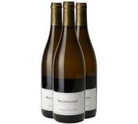 Bourgogne - Blanc 2024 - Maison Jacques Bavard - Vin Blanc de Bourgogne (3x75cl)