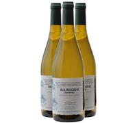 Bourgogne Chardonnay - Blanc 2023 - Cave d'Azé - Vin Blanc de Bourgogne (3x75cl)