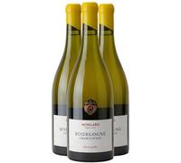 Bourgogne Chardonnay Elevé en Fûts - Blanc 2023 - Maison Moillard - Vin Blanc de Bourgogne (3x75cl)