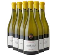 Bourgogne Chardonnay Elevé en Fûts - Blanc 2023 - Maison Moillard - Vin Blanc de Bourgogne (6x75cl)
