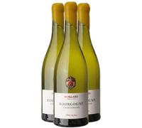 Bourgogne Chardonnay Fût de Chêne - Blanc 2024 - Maison Moillard - Vin Blanc de Bourgogne (3x75cl)