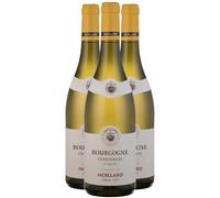 Bourgogne Chardonnay Tradition Le Duché - Blanc 2023 - Maison Moillard - Vin Blanc de Bourgogne (3x75cl)