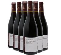 Bourgogne Côte Chalonnaise Pinot Noir - Rouge 2023 - Cave de Bissey - Vin Rouge de Bourgogne (6x75cl)