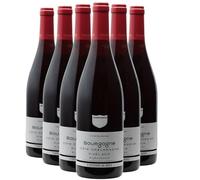Bourgogne Côte Chalonnaise Pinot Noir - Rouge 2024 - Cave des vignerons de Buxy - Vin Rouge de Bourgogne (6x75cl)