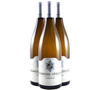 Bourgogne Côte-d'Or - Blanc 2020 - Domaine Bzikot - Vin Blanc de Bourgogne (3x75cl)