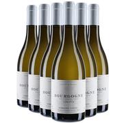 Bourgogne Côte-d'Or Chardonnay - Blanc 2021 - Domaine Tessier - Vin Blanc de Bourgogne (6x75cl)