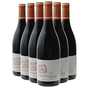 Bourgogne Côte-d'Or Pinot Noir - Rouge 2019 - Domaine des Terres de Velle - Vin Rouge de Bourgogne (6x75cl)