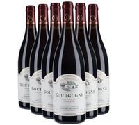 Bourgogne Côte-d'Or - Rouge 2020 - Domaine Humbert Frères - Vin Rouge de Bourgogne (6x75cl) BIO