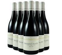 Bourgogne Cote d'Or - Rouge 2022 - Domaine Pierre Thibert - Vin Rouge de Bourgogne (6x75cl) BIO