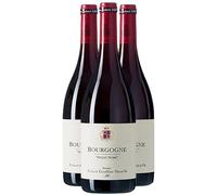 Bourgogne Côte-d'Or - Rouge 2022 - Domaine Robert Groffier Père et Fils - Vin Rouge de Bourgogne (3x75cl)