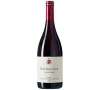 Bourgogne Côte-d'Or - Rouge 2022 - Domaine Robert Groffier Père et Fils - Vin Rouge de Bourgogne (75cl)