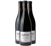 Bourgogne Elevé en Jarre de Terre - Rouge 2022 - Bruno Dangin - Vin Rouge de Bourgogne (3x75cl) BIO