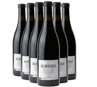 Bourgogne Elevé en Jarre de Terre - Rouge 2022 - Bruno Dangin - Vin Rouge de Bourgogne (6x75cl) BIO