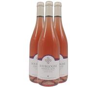 Bourgogne Epineuil Pinot Noir - Rosé 2023 - Domaine des Quatre Saisons - Vin Rosé de Bourgogne (3x75cl)