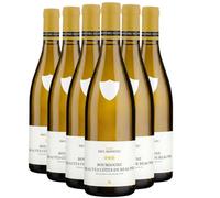 Bourgogne Hautes Côtes de Beaune - Blanc 2024 - Maison Paul Manevey - Vin Blanc de Bourgogne (6x75cl)