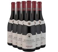 Bourgogne Hautes Côtes de Beaune Les Alouettes - Rouge 2023 - Maison Moillard - Vin Rouge de Bourgogne (6x75cl)