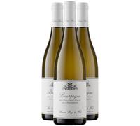Bourgogne Les Champlains - Blanc 2022 - Domaine Simon Bize - Vin Blanc de Bourgogne (3x75cl)
