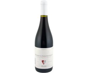 Bourgogne Passe-tout-grains 2025 - Domaine Bellang