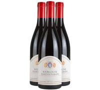 Bourgogne Passe-tout-grains - Rouge 2021 - Domaine Robert Sirugue - Vin Rouge de Bourgogne (3x75cl)
