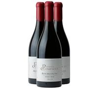 Bourgogne Pinot Noir Fûts de Chêne - Rouge 2022 - Patrick Clémencet - Vin Rouge de Bourgogne (3x75cl)