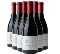 Bourgogne Pinot Noir Fûts de Chêne - Rouge 2022 - Patrick Clémencet - Vin Rouge de Bourgogne (6x75cl)