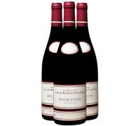 Bourgogne Pinot Noir - Rouge 2019 - Domaine Louis Boillot - Vin Rouge de Bourgogne (3x75cl)