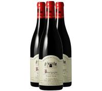 Bourgogne Pinot Noir - Rouge 2019 - Domaine Philippe Livera - Vin Rouge de Bourgogne (3x75cl)