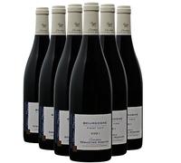 Bourgogne Pinot Noir - Rouge 2021 - Domaine Sébastien Magnien - Vin Rouge de Bourgogne (6x75cl)