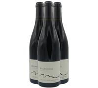 Bourgogne Pinot Noir - Rouge 2023 - Domaine Lucien Muzard et Fils - Vin Rouge de Bourgogne (3x75cl)