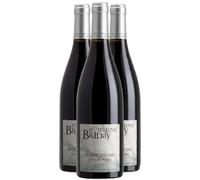 Bourgogne Pinot Noir - Rouge 2023 - Domaine Michel Briday - Vin Rouge de Bourgogne (3x75cl)