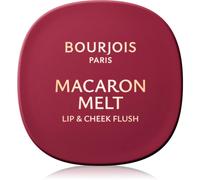 Bourjois Macaron Melt Lip & Ch lush blush 2 en 1 teinte 05 Berry Smoothy 5 g