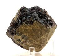 BOURNONITE + SPHALERITE en provenance de FRANCE, Saint-Laurent-le-Minier - Rare Minéral Métallique Naturel 1410.0 ct - Certificat d'Authenticité