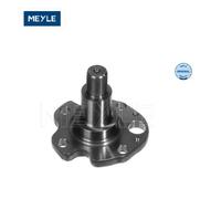 Bout d'essieu, corps de l'essieu Meyle 100 501 0029 AUDI 1J0 501 117 B