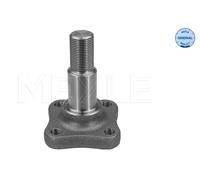 Bout d'essieu, corps de l'essieu Meyle 16-14 501 0000 pour OE 6001 548 299 - 60