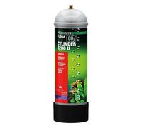 JBL Bouteille de CO2 ProFlora – à usage unique pour aquarium, gris, réducteur inclus – 1200 g