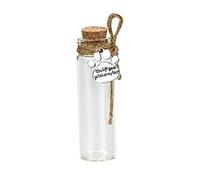 Bouteille commémorative de Cheveux d'animal familier, fiole en Verre pour des Cendres ou des Cheveux Chien ou Chat Souvenir Cadeau de Perte d'animal familier (Bottle)