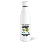 Bouteille d’eau Isotherme 500ml Acier Collègue Gourde Réutilisable Ecologique Maintien Chaud/Froid 12h. Idée Cadeau Original Humour Homme Femme Retraite Mutation Sport Bureau Anniversaire Noël