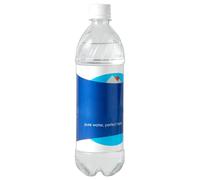 Bouteille de détournement SAFE - PORTABLE, SECRET, Boîte d'argent, bouteille d'eau secrète cachée avec compartiment spacieux | Boîte de sécurité du stockage pour le voyage de randonnée en camping