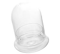 Bouteille de Plantes en Verre Transparent, Décor de Table Simple | Écosystème DIY pour Plantes et Mousse, Usage sur Rebord de Fenêtre ou Patio, Style Artistique Clair