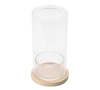 Bouteille de plantes hydroponiques d'intérieur en verre pour bureau ou rebord de fenêtre ajoutant une touche naturelle à l'espace bureau terrarium