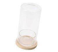 Bouteille de plantes hydroponiques d'intérieur en verre pour bureau ou rebord de fenêtre ajoutant une touche naturelle à l'espace bureau terrarium