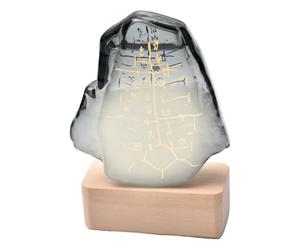 Bouteille de prévisions météo - verre tempête décoratif, cristaux changeants selon le climat, design élégant, base en bois | Prédicteur météo pour maison, bureau, salon, cadeau original, observation m