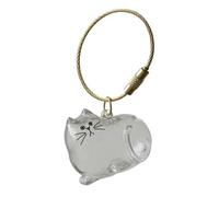 Bouteille de rangement pour poils de chat et poils d'animaux de compagnie - Porte-clés pour la collecte des poils de chats et chiens - Cadeaux commémoratifs pour la perte de chien et chat B