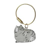 Bouteille de rangement pour poils de chat et poils d'animaux domestiques - Porte-clés pour la collecte des poils de chats et chiens - Cadeaux commémoratifs pour la perte de chien et chat D