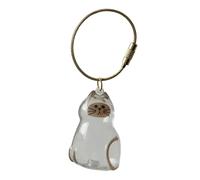 Bouteille de rangement pour poils de chat et poils d'animaux domestiques - Porte-clés pour la collecte des poils de chats et chiens - Cadeaux commémoratifs pour la perte de chien et chat C