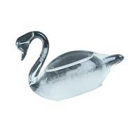 Bouteille de tempête d ' oiseaux, instrument de météorologie pour la prévision du temps et les décorations intérieures élégantes, de décoration de maison tendance, verre de tempête moulé