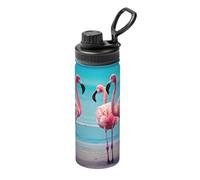 Bouteille d'eau de sport isotherme avec imprimé flamants roses pour l'extérieur, le camping, la salle de sport et les trajets quotidiens, rétention du chaud et du froid