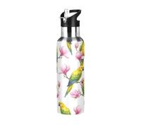 Bouteille d'eau de sport isotherme sans BPA en acier inoxydable de 946 ml pour salle de sport, extérieur, voyage, école, perroquets jaunes, verts, magnolia rose